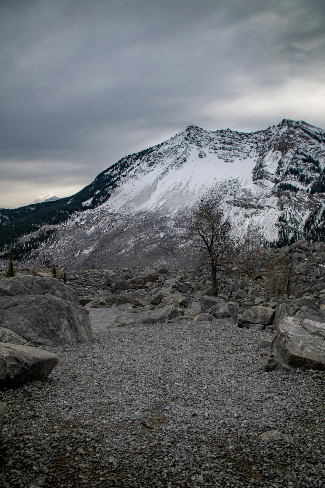 Limestone boulders of the Frank Slide beneath the snow-dusted face of Turtle Mountain in the Crowsnest Pass